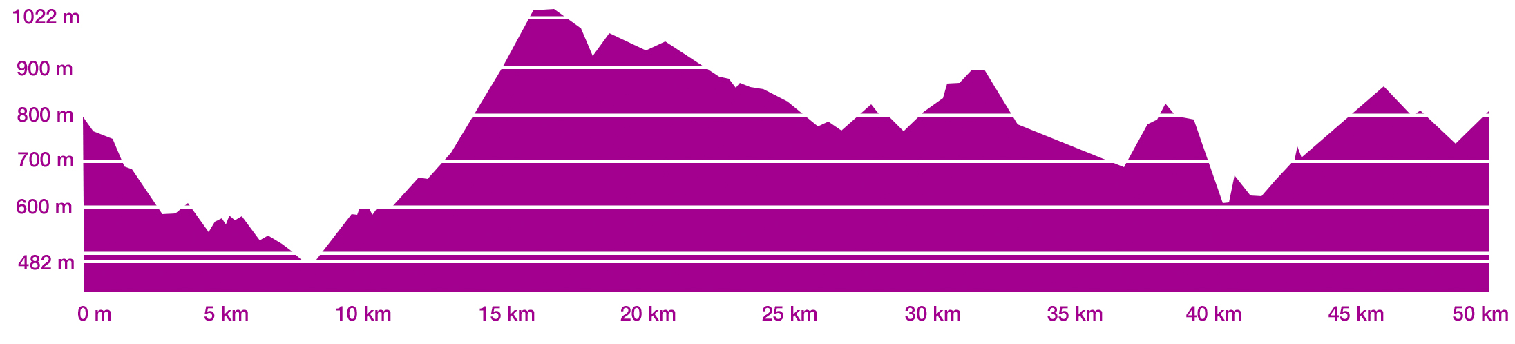 Altimetria